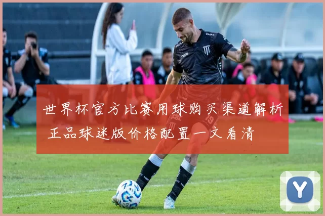 世界杯官方比赛用球购买渠道解析 正品球迷版价格配置一文看清