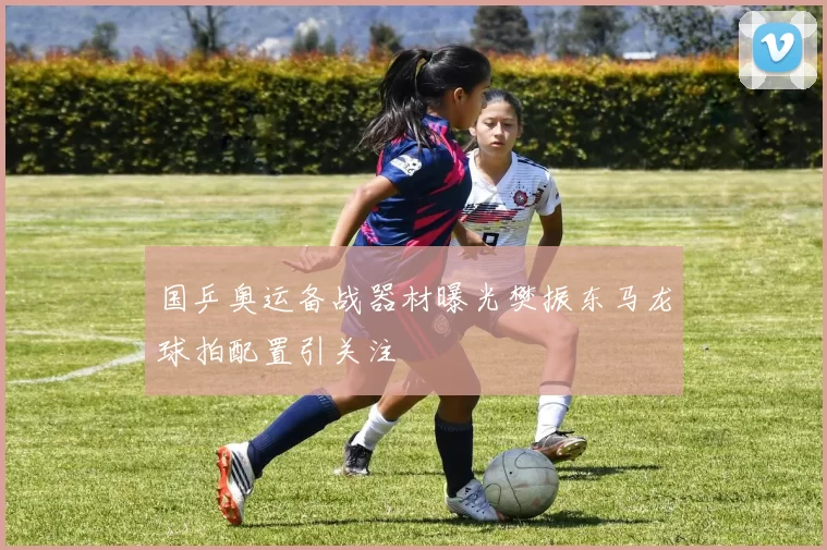 国乒奥运备战器材曝光樊振东马龙球拍配置引关注